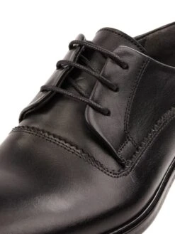 G.O.L. Derby Aus Leder - Schwarz -Guesi Bekleidung Geschaft 60q4il258krkkia56h1kgk1l9l0kschl8so4qhpn951l0g9nap3koiih9p14kcab68pkeiql74sj8ii58go3cd1p70ojgd9lckq3co9k74r3aob561hj4p1p6himao9h61hm2og