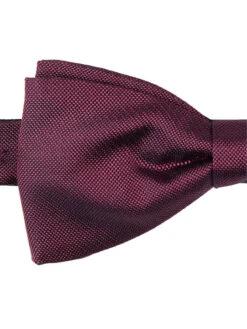 Blick Fliege Aus Seide - Fuchsia -Guesi Bekleidung Geschaft 90s4kiqm9954cdie9gr46d289h9kmcph9sqjaeabada52iag94q4oki28d5kghq48l2kkghn9oq4idqha4o62e356opjao9pcoq3ge1kccp3ge9k71j32ophccs38d1icpj3ipg