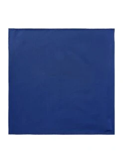 Blick Einstecktuch Aus Seide - Royalblau -Guesi Bekleidung Geschaft 91b5cjib90ol0d9n918k6ea974qkogq2akp4chab68okklil993k4hi28gsjghqk85946ia48hb4qc2maoo66p1g6dj6ae356kr6ad1k6hj3ie36c5j36oj260r3idhn6cp30d8