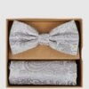 Prince Bowtie Fliege Und Einstecktuch Im Set Mit Allover-Muster - Silber