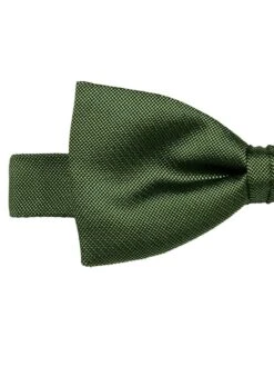 Blick Fliege Aus Seide - Grün -Guesi Bekleidung Geschaft a0q4gd1j94p52jpl84o34ea9a1552d2e9ss46hpg8srjelie9p448k2l6oqkii246ha3gkah6t55ajq19h3m2dpn6kq3cd9i6cp38dpk69hmcoj269j34c1ncopjio9g6crj0oo